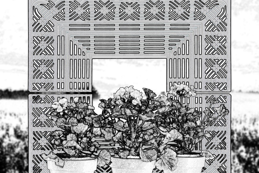 一个方形的树栅像一个画框，一边是植物，另一边是地平线